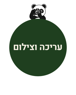 צילום ועריכת וידאו